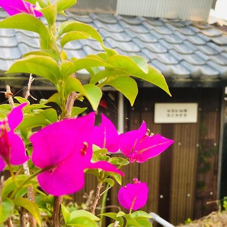 Guesthouse Nichinan - Vacation Stay 82905V Ngoại thất bức ảnh